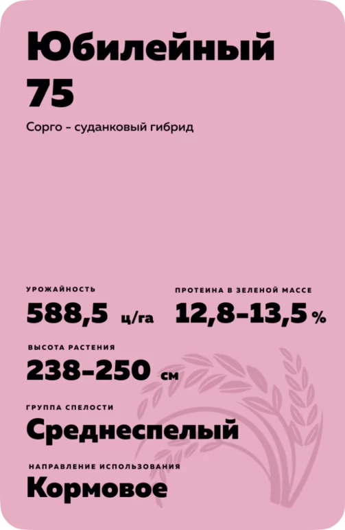 Юбилейный 75
