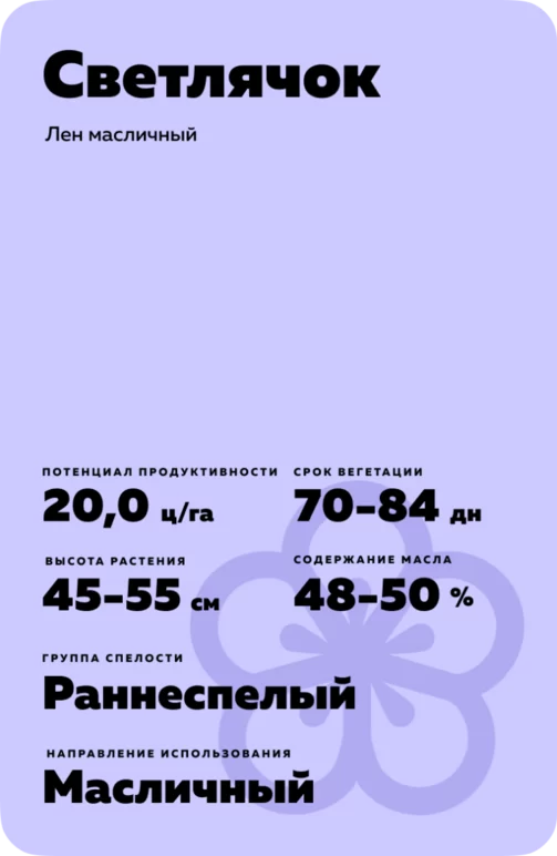 Светлячок сорт льна масличного
