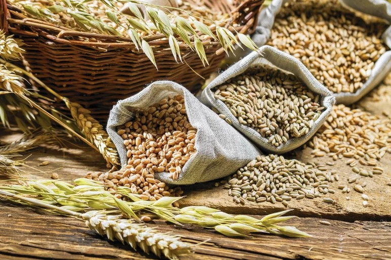 ФАО понизила прогноз сбора зерна в мире в 2022 году на 4,9 млн тонн