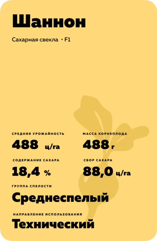 Шаннон
