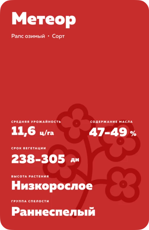 Метеор рапс озимый