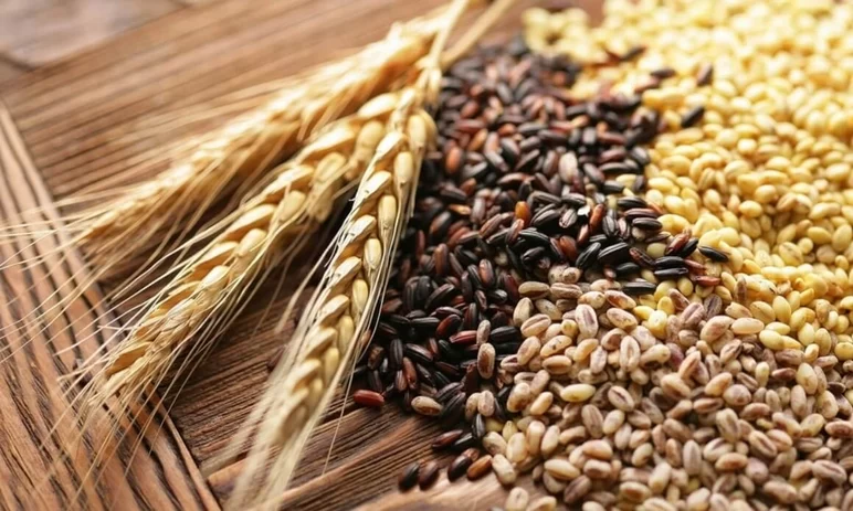 Россельхознадзор: В 2022 г. в РФ выявлено 15% некачественной зерновой продукции