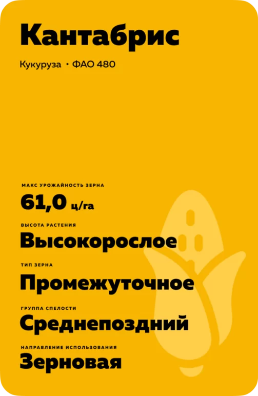 Кантабрис