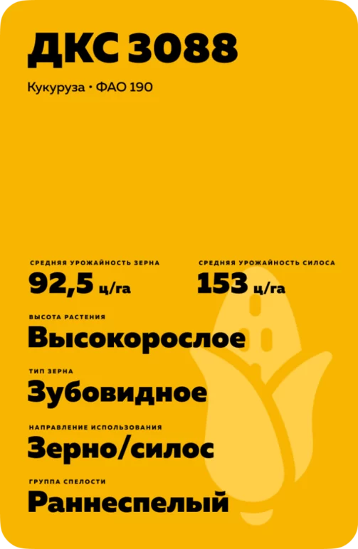 ДКС 3088 гибрид кукурузы