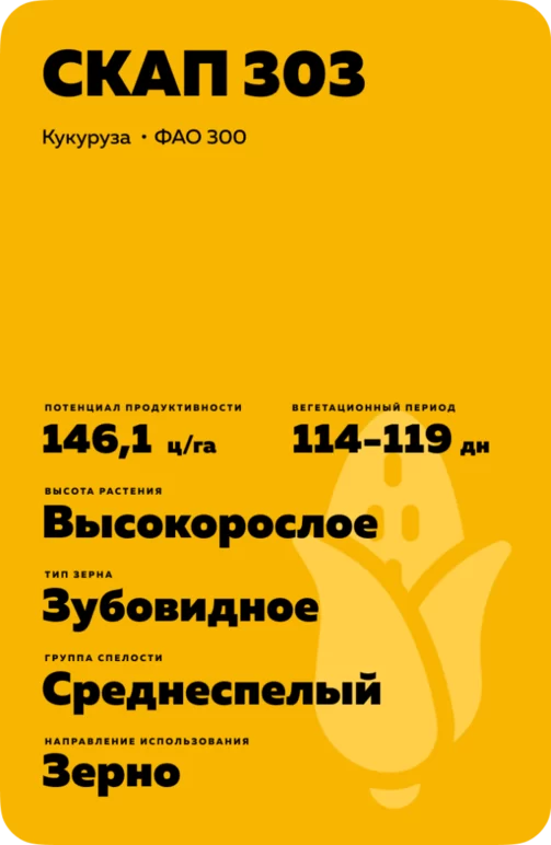 СКАП 303 гибрид кукурузы