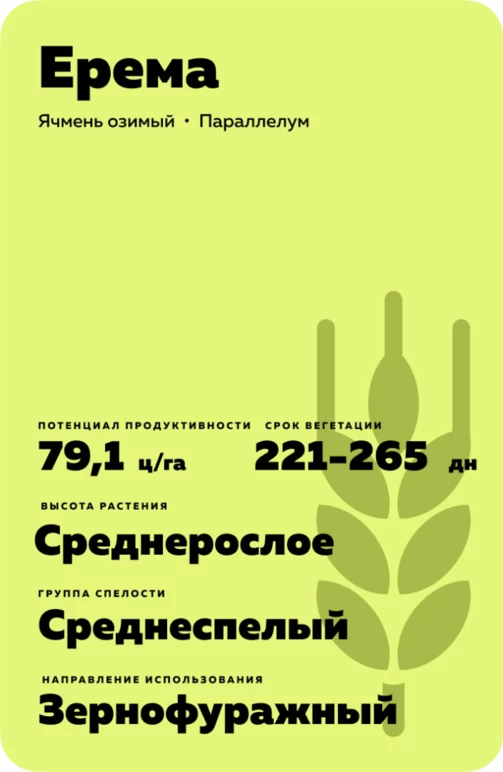 Ерема