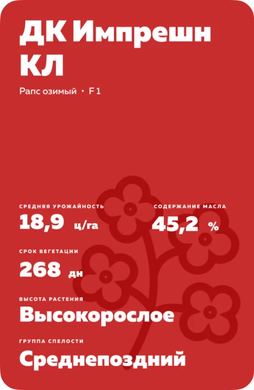 ДК Импрешн КЛ (DK IMPRESSION CL)  гибрид озимого рапса
