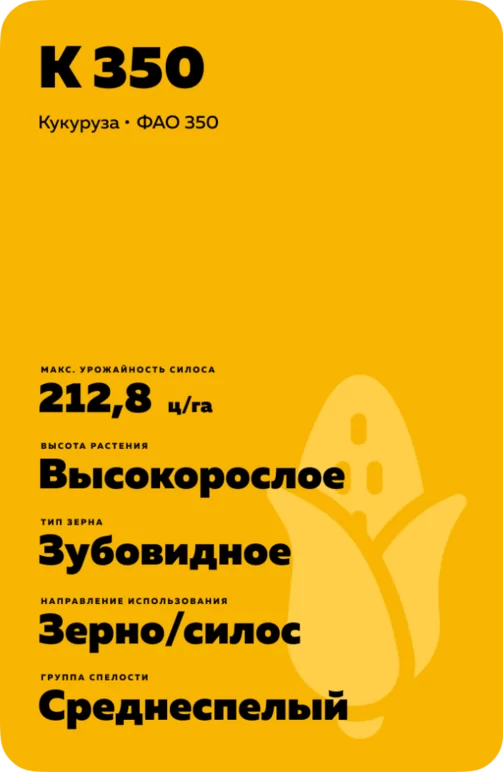 К 350 гибрид кукурузы