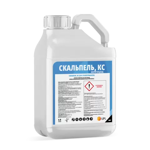 Скальпель, КС