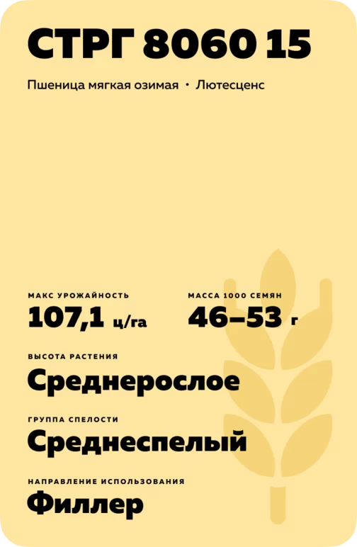 СТРГ 8060 15 сорт мягкой озимой пшеницы