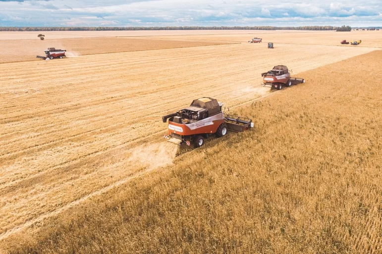 Россия может обновить рекорды по сбору зерновых и масличных в 2022 году