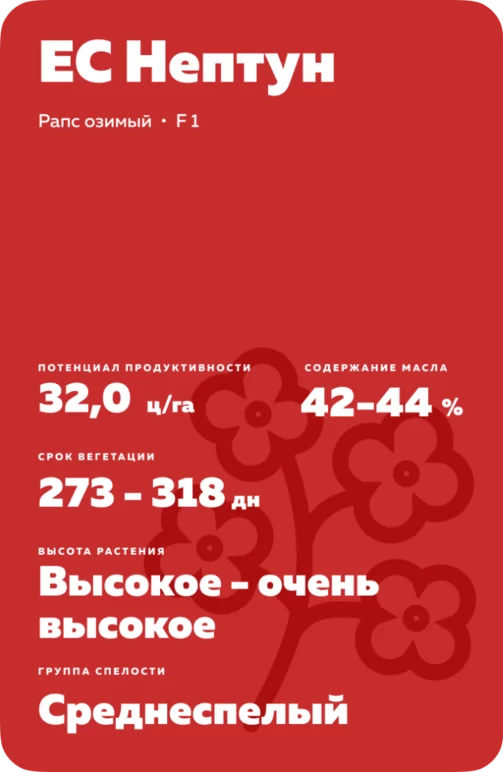 ЕС Нептун рапс озимый
