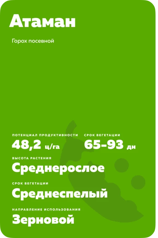 Горох Атаман