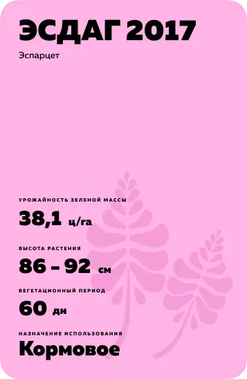 ЭСДАГ 2017