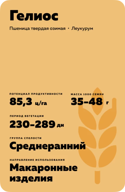 Гелиос
