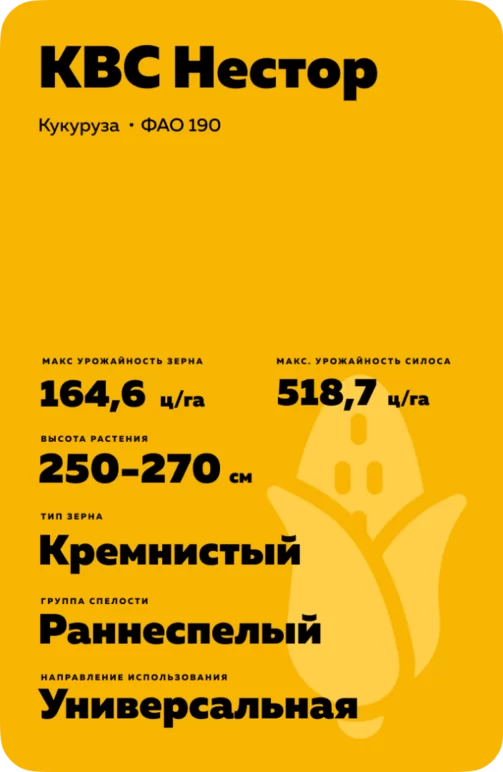 КВС Нестор (KWS NESTOR)
