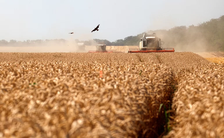 В Европе ожидается низкий урожай пшеницы из-за жары