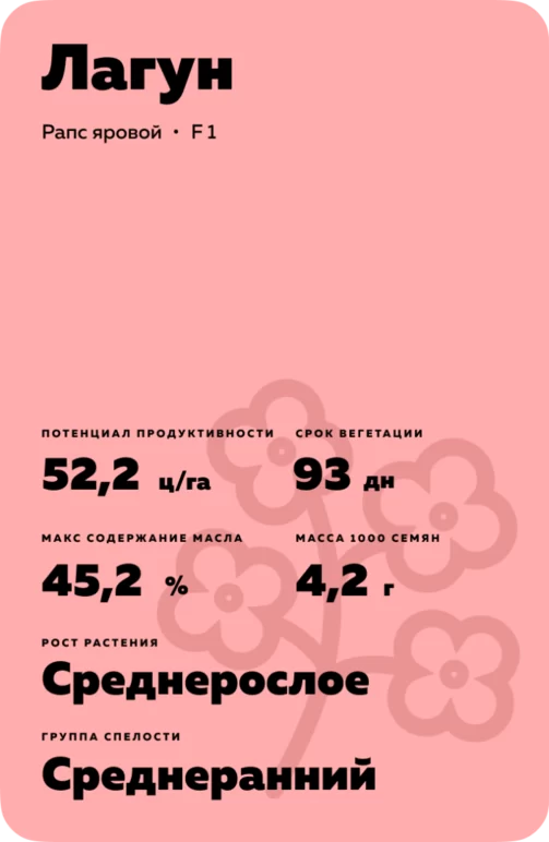 Лагун (LAGOON) рапс яровой