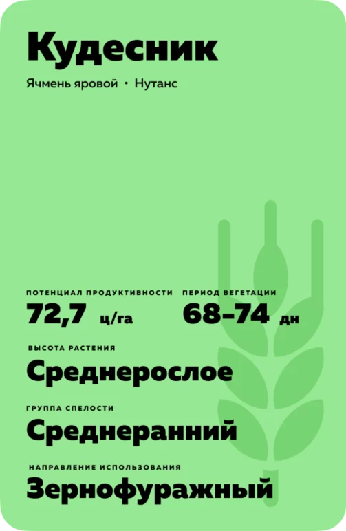 Кудесник сорт ярового ячменя