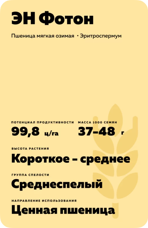 ЭН Фотон пшеница Эко Нива