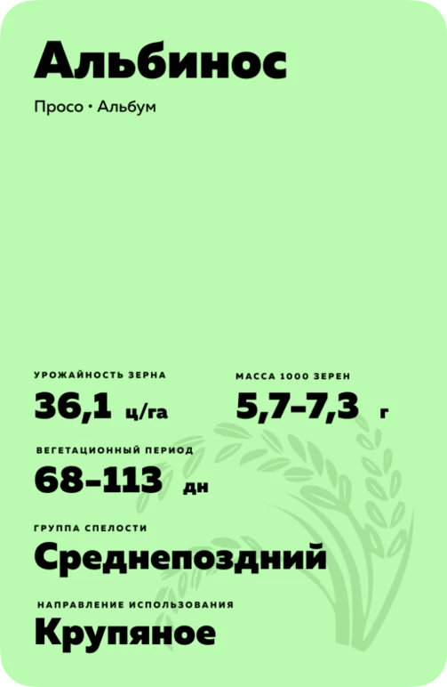 Альбинос
