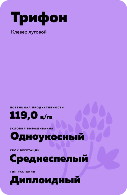Трифон