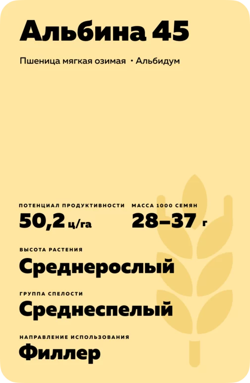 Альбина 45 сорт мягкой озимой пшеницы
