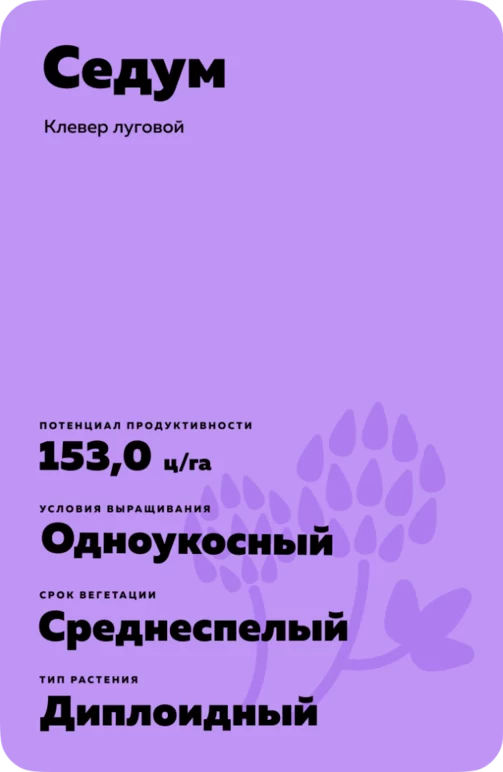 Седум