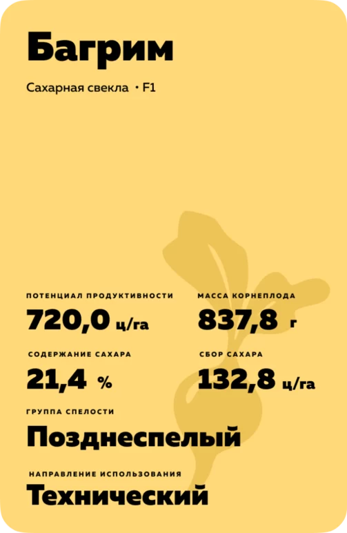 Багрим  - гибрид свеклы сахарной (Beta vulgaris L. ssp. vulgaris var. saccharifera Alef.).