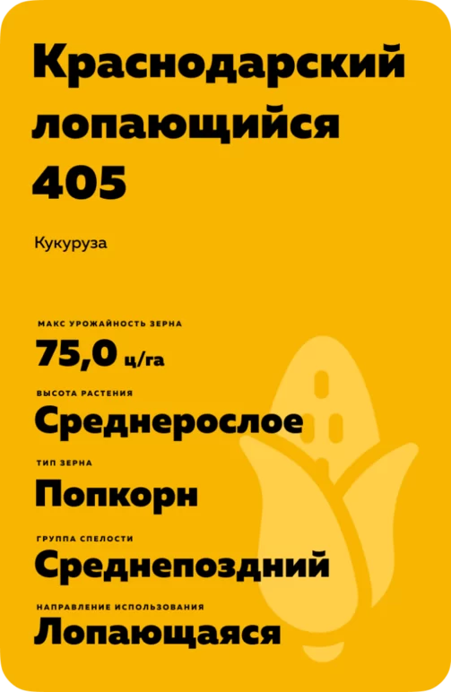 Краснодарский лопающийся 405