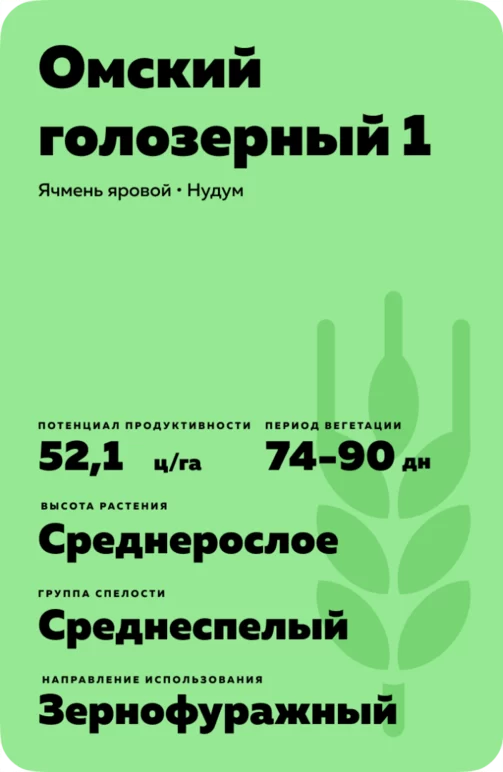Омский голозерный 1