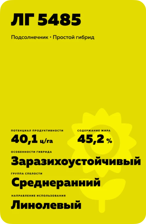 ЛГ 5485 подсолнечник