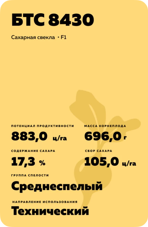 БТС 8430 - гибрид свеклы сахарной