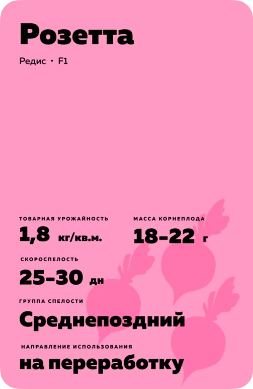 Розетта F1 (ROSETTA) - редис. Характеристики и отзывы