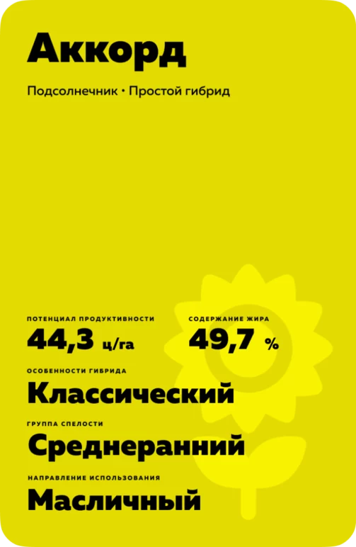 Аккорд - подсолнечник. Характеристики и отзывы