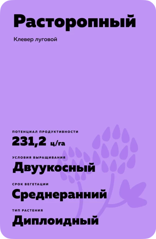 Расторопный