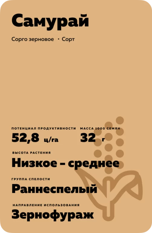Самурай сорт зернового сорго