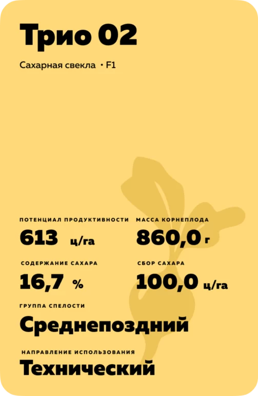 Трио 02 - гибрид свеклы сахарной