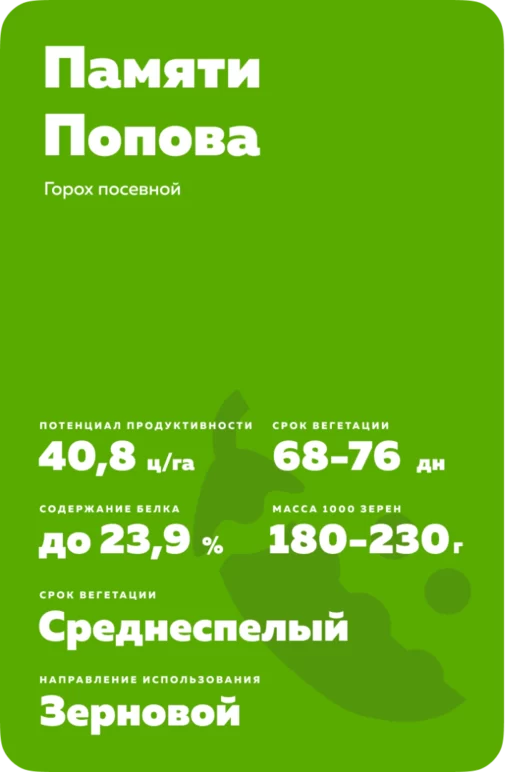 Памяти Попова