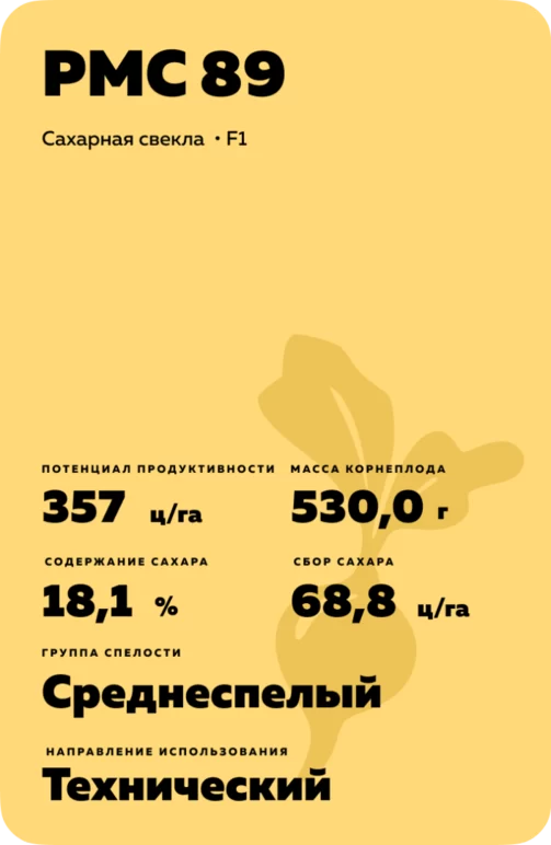 РМС 89