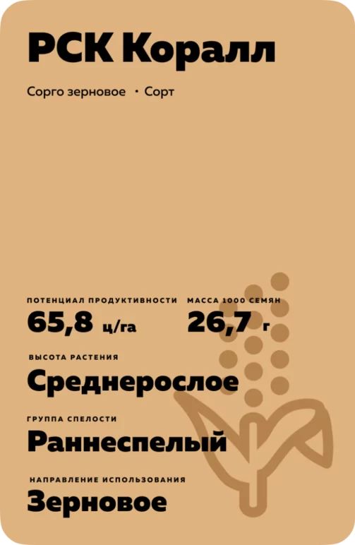 РСК Коралл