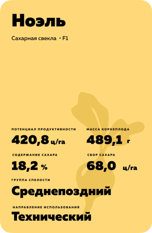 НОЭЛЬ  - гибрид свеклы сахарной