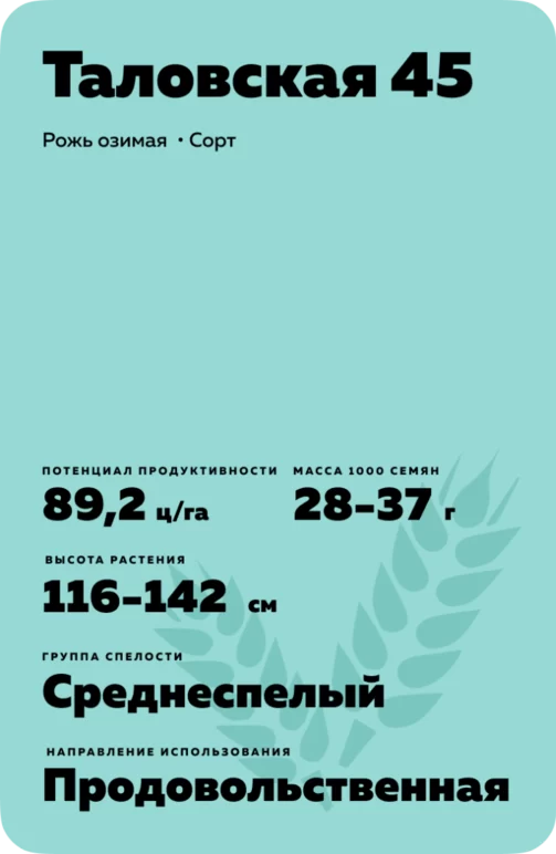 Таловская 45 рожь озимая