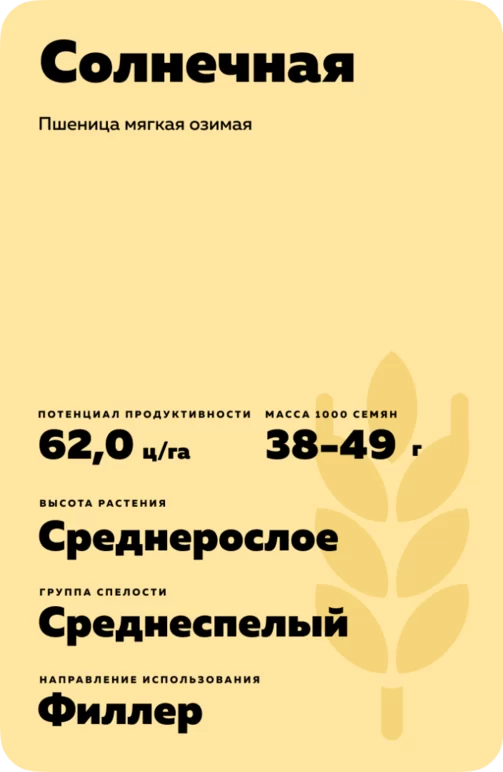 Солнечная