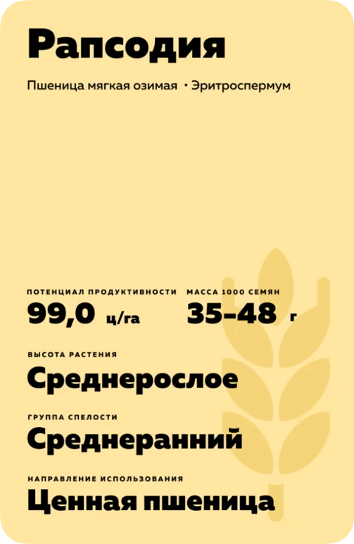 Рапсодия