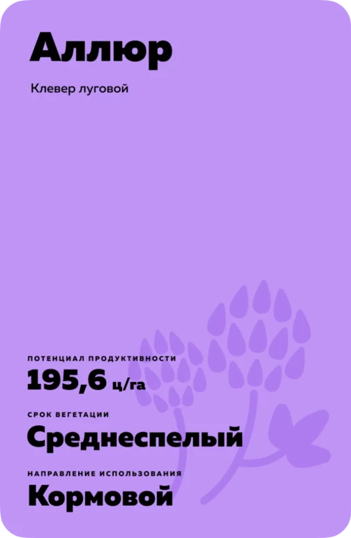 Аллюр