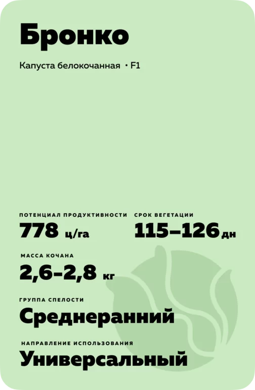 Бронко гибрид капусты белокочанной