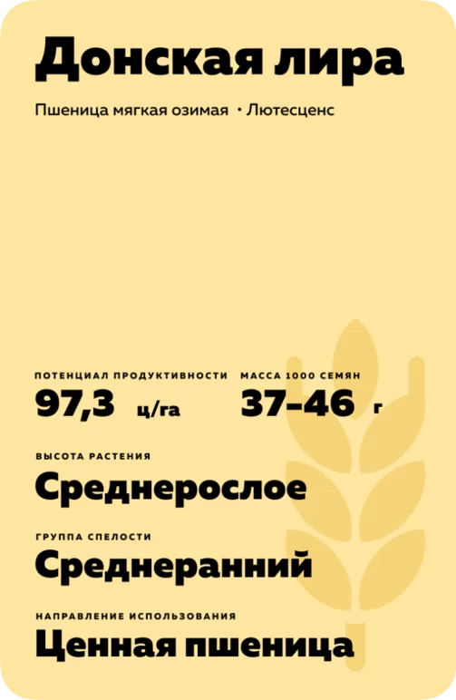 Донская лира сорт озимой пшеницы