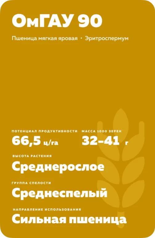 ОмГАУ 90