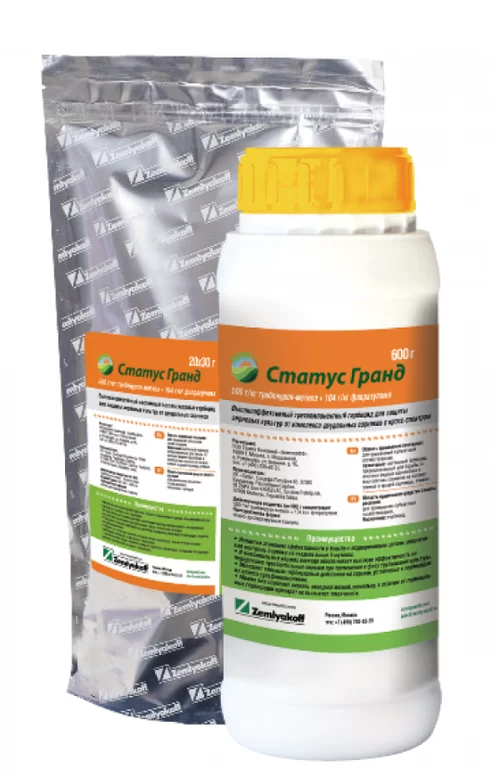 Статус Гранд, ВДГ